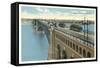 Eads Bridge, Streetcars, St. Louis, Missouri-null-Framed Stretched Canvas