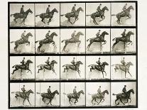 Man and horse jumping a fence, 1887-Eadweard J Muybridge-Giclee Print