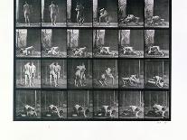 Man and horse jumping a fence, 1887-Eadweard J Muybridge-Giclee Print