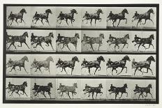 Plate 169. Jumping; over Boy's Back (Leap-Frog), 1885 (Collotype on Paper)-Eadweard Muybridge-Giclee Print