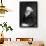 Eadweard Muybridge, English Photographer-Science Source-Framed Giclee Print displayed on a wall
