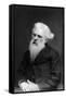 Eadweard Muybridge, English Photographer-Science Source-Framed Stretched Canvas