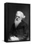 Eadweard Muybridge, English Photographer-Science Source-Framed Stretched Canvas