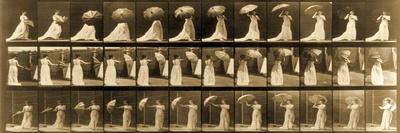 A Motion Study of a Hand, C.1872-1885-Eadweard Muybridge-Giclee Print
