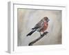 Eager for Winter-Angeles M Pomata-Framed Giclee Print