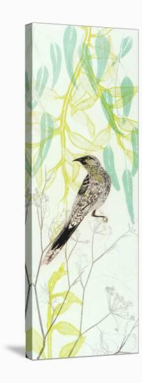 Eager To Fly Wattlebird-Trudy Rice-Stretched Canvas