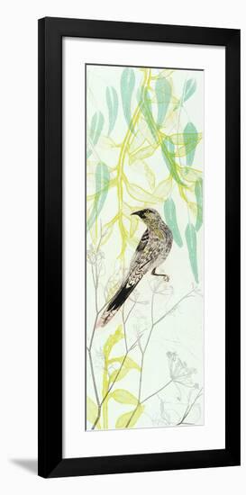 Eager To Fly Wattlebird-Trudy Rice-Framed Art Print