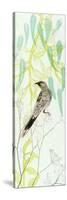 Eager To Fly Wattlebird-Trudy Rice-Stretched Canvas