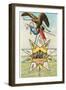 Eagle, Alamo in Star, Texas Liberty-null-Framed Art Print