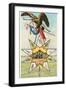 Eagle, Alamo in Star, Texas Liberty-null-Framed Art Print