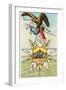 Eagle, Alamo in Star, Texas Liberty-null-Framed Art Print