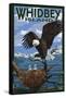 Eagle and Chicks - Whidbey Island, Washington-Lantern Press-Framed Stretched Canvas