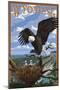 Eagle and Chicks - Wyoming-Lantern Press-Mounted Art Print