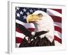 Eagle and Flag-William Vanderdasson-Framed Giclee Print