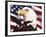 Eagle and Flag-William Vanderdasson-Framed Giclee Print