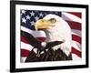 Eagle and Flag-William Vanderdasson-Framed Giclee Print