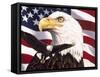 Eagle and Flag-William Vanderdasson-Framed Stretched Canvas