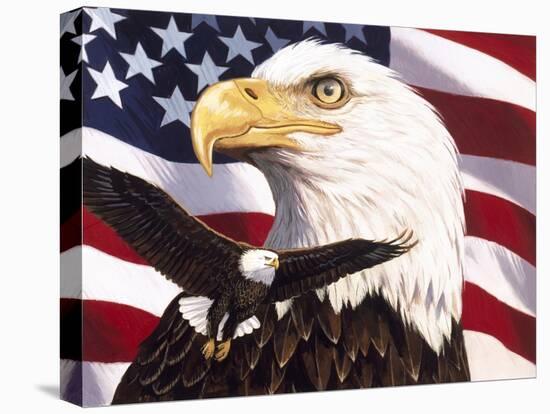 Eagle and Flag-William Vanderdasson-Stretched Canvas