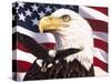 Eagle and Flag-William Vanderdasson-Stretched Canvas