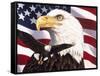 Eagle and Flag-William Vanderdasson-Framed Stretched Canvas