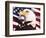 Eagle and Flag-William Vanderdasson-Framed Giclee Print