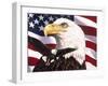 Eagle and Flag-William Vanderdasson-Framed Giclee Print