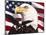 Eagle and Flag-William Vanderdasson-Mounted Giclee Print