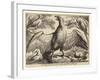Eagle and Other Birds-Wenceslaus Hollar-Framed Giclee Print
