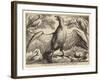 Eagle and Other Birds-Wenceslaus Hollar-Framed Giclee Print