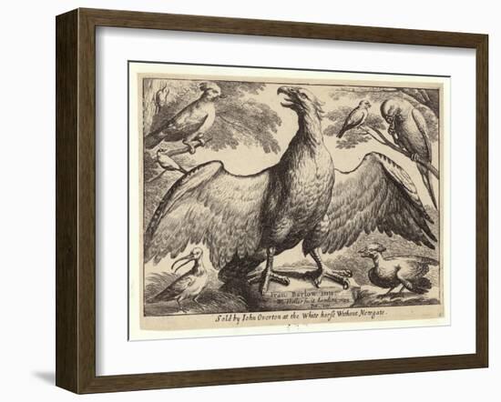 Eagle and Other Birds-Wenceslaus Hollar-Framed Giclee Print