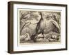 Eagle and Other Birds-Wenceslaus Hollar-Framed Giclee Print