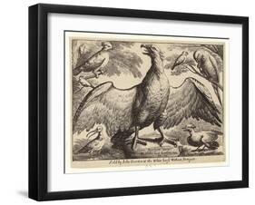 Eagle and Other Birds-Wenceslaus Hollar-Framed Giclee Print