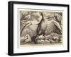 Eagle and Other Birds-Wenceslaus Hollar-Framed Giclee Print