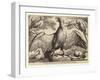 Eagle and Other Birds-Wenceslaus Hollar-Framed Giclee Print