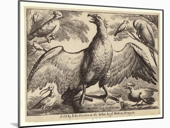 Eagle and Other Birds-Wenceslaus Hollar-Mounted Giclee Print