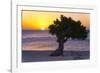 Eagle Beach Sunset witha Divi Tree, Aruba-George Oze-Framed Photographic Print