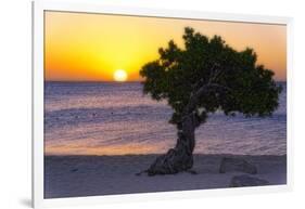 Eagle Beach Sunset witha Divi Tree, Aruba-George Oze-Framed Photographic Print