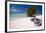 Eagle Beach with a Fofoti Divi Tree Aruba-George Oze-Framed Photographic Print