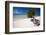 Eagle Beach with a Fofoti Divi Tree Aruba-George Oze-Framed Photographic Print