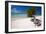 Eagle Beach with a Fofoti Divi Tree Aruba-George Oze-Framed Photographic Print