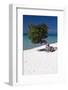 Eagle Beach with a Fofoti Tree Aruba-George Oze-Framed Photographic Print