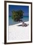 Eagle Beach with a Fofoti Tree Aruba-George Oze-Framed Photographic Print