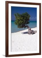 Eagle Beach with a Fofoti Tree Aruba-George Oze-Framed Photographic Print