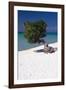 Eagle Beach with a Fofoti Tree Aruba-George Oze-Framed Photographic Print