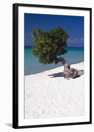 Eagle Beach with a Fofoti Tree Aruba-George Oze-Framed Photographic Print