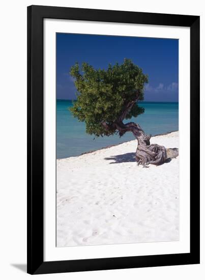 Eagle Beach with a Fofoti Tree Aruba-George Oze-Framed Photographic Print