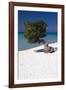 Eagle Beach with a Fofoti Tree Aruba-George Oze-Framed Photographic Print