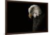 Eagle Bow-Nathan Larson-Framed Photographic Print