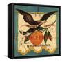 Eagle Brand - California - Citrus Crate Label-Lantern Press-Framed Stretched Canvas