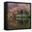 Eagle Creek City Park, Indianapolis, Indiana, Usa-Anna Miller-Framed Stretched Canvas